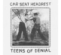 CAR SEAT HEADREST: TEENS OF DENIAL - LP vinyl