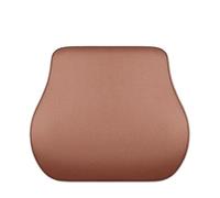 Car Seat Pillow Fit For DMI Song Pro Han Yuan Tang Qin Seal Pillow Fit For Byd Car Headrest Cushion Auto Accessories(D2)
