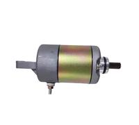 Car Starter Motor For Feishen For GSMOON For Buyang For Linhai For Jinling 260cc 300cc Scooter ATV Quad JLA-925E 921E Parts 9T Starter Motor