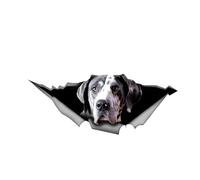 Car Sticker 22 cm (8.7 Inch) Great Dane Sticker Funny Great Dane 3D Ripped Car Sticker Great Dane Reflective Car Sticker Great Dane Car Sticker Pet Dog Waterproof Sticker