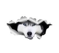 Car Sticker 22 cm (8.7 Inch) Husky Sticker Sleigh Dog 3D Ripped Reflective Car Sticker Funny Husky Car Sticker Pet Dog Waterproof Sticker Bumper Personalised Decor