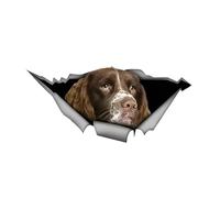 Car Sticker 22 cm (8.7 Inch) Springer Spaniel Sticker 3D Ripped Car Sticker Brown Springer Spaniel Reflective Car Sticker Funny Pet Dog Sticker