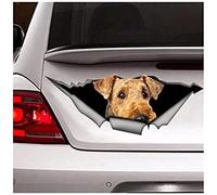 Car Sticker 22cm(8.6inches) Airedale Terrier Sticker, Car Decal, Vinyl Decal, Pet Sticker, Dog Decal, Airedale Terrier Decal(Hg1Fs13386)