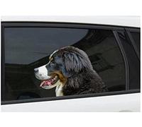Car Sticker 22cm(8.6inches) Bernese Mountain Dog Car Window Sticker, Sticker, Bernese Mountain Dog Decal(Hg1Fs13508)(2Pcs)