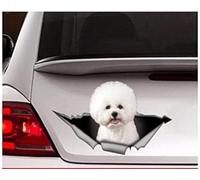 Car Sticker 22cm(8.6inches) Bichon Frise Car Decal, Bichon Frise Sticker,Pet Decal, Dog Decal, Car Decal, Funny Decal, Laptop Decal, Sticker(Hg1Fs13461)