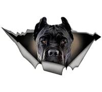 Car Sticker 22cm(8.6inches) Black Cane Corso Car Sticker Torn Metal Decal Reflective Stickers Waterproof Car Styling Pet Dog Decals(Hg1Fs12802)