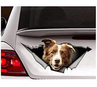 Car Sticker 22cm(8.6inches) Brown and White Border Collie Car Sticker, Dog Car Decal, Car Decoration, Pet Decal(Hg1Fs13424)