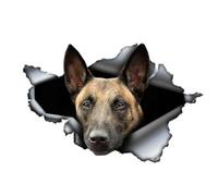 Car Sticker 25 cm (9.8 Inch) Belgian Malinois Car Sticker Reflective Sticker Waterproof Belgian Shepherd Pet Dog Sticker 3D Torn Metal Sticker Decorative