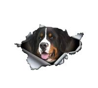 Car Sticker 25 cm (9.8 Inch) Bernese Mountain Dog Sticker Funny Bernese Mountain Dog Car Sticker Bernese Mountain Dog Waterproof Sticker Personalised 3D Torn Reflective Sticker