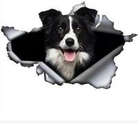 Car Sticker 25 Cm (9.8 Inch) Border Collie Sticker Funny Border Collie Car Sticker Pet Dog Waterproof Sticker 3D Torn Metal Reflective Sticker Decorative