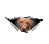 Car Sticker 25 cm (9.8 Inch) Labrador Sticker Funny Brown Labrador Car Sticker Red Brown Labrador Pet Dog Waterproof Sticker Personalised 3D Torn Reflective Sticker