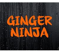 Car Sticker GINGER NINJA Funny Novelty Redhead Ginge Nice Cute Joke Van Window Bumper Boot Decal