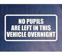 Car Sticker No Pupils Are Left In Vehicle Overnight