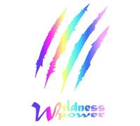 Car Sticker, Reflective Self-Adhesive Car Sticker, Waterproof Colourful Reflective Sticker, Car Exterior Decoration Accessories, Vinyl Car Sticker, Multicoloured Bonnet Sticker for the
