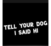 Car Sticker Tell Your Dog I Said Hi Funny Sticker 15 cm (5.9 Inch) Funny Sign Sticker Pet Dog Personalised Bumper Car Window Waterproof Decor