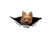 Car Sticker Yorkshire Terrier Sticker 15 cm (5.9 Inch) Yorkshire Terrier Reflective Sticker 3D Ripped Car Sticker Pet Dog Funny Sticker Laptop Bumper Funny Decor