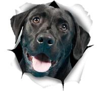 Car Stickers and Decals 20Cm 3D Cute Black Labrador Sticker Dog Car Sticker Decal for Wall Car Toilet Room Luggage Skateboard Laptop（2Pcs）（2Pcs）
