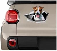 Car Stickers and Decals 20Cm(7.87In) Car Sticker Jack Russell Sticker Dog Sticker Animals Stickers Jack Russell Terrier Decal Jack Russell Lover I Love Dog(Glh1D23358)
