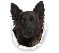 Car Stickers and Decals 20Cm(7.87In) German_Shepherds Dog Stickers Decal On Wall Fridge Toilet Car Bike(Glh1D26287)（2Pcs）