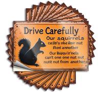 Car Stickers and Decals Drive Carefully: Squirrelly Humor On Rustic Sign Stickers 10Pcs Toolbox Stickers and Decals Decal Stickers for Car(8X12CM)