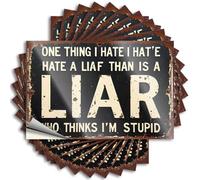 Car Stickers and Decals Rusty Sign: 'One Thing I Hate More Than A Liar is A Stupid Person Stickers 10Pcs Toolbox Stickers and Decals Decal Stickers for Car(8X12CM)