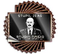 Car Stickers and Decals Stupid is As Dumb As... Stickers 10Pcs Toolbox Stickers and Decals Decal Stickers for Car(8X12CM)