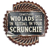 Car Stickers and Decals Vintage Sign: 'Lads, Smile After Me in Your Scrunchie' Stickers 10Pcs Toolbox Stickers and Decals Decal Stickers for Car(12X18CM)