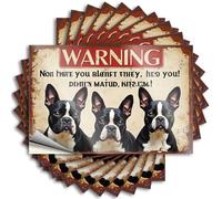 Car Stickers and Decals Warning: Boston Terriers Guarding Alien Invaders! Stickers 10Pcs Toolbox Stickers and Decals Decal Stickers for Car(6X9CM)