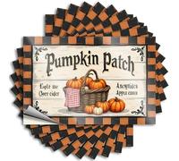 Car Stickers and Decals Welcome to Our Cozy Pumpkin Patch with Fresh Apple Cider! Stickers 10Pcs Toolbox Stickers and Decals Decal Stickers for Car(8X12CM)