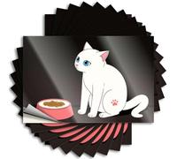 Car Stickers Funny A White Cat with Blue Eyes Sits Beside an Empty Food Bowl Sticker 10Pcs Funny Signs for Bedroom Car Bandaid Sticker(6X9CM)