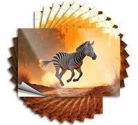 Car Stickers Funny A Zebra Gallops Across A Sunlit Savanna Sticker 10Pcs Funny Signs for Bedroom Car Bandaid Sticker(8X12CM)