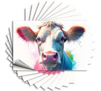 Car Stickers Funny Colorful Cow Portrait: A Vibrant Artwork Stickers 10Pcs Funny Sticker Cave Door Sign(8X12CM)