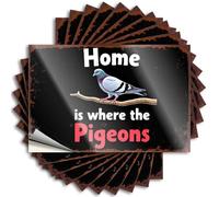 Car Stickers Funny Home is Where The Pigeons. Stickers 10Pcs Decals for Cars Funny Stickers(6X9CM)