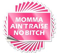 Car Stickers Funny Momma Ain't Raise No Bitch Funny Sticker 10 Pcs Decor for Man Cave Stickers for Cars(8X12CM)