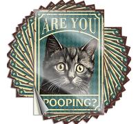 Car Stickers Stickers Funny are You Pooping Stickers Funny Sign Decor Inappropriate Stickers(6X9CM)