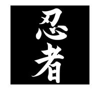Car Stickers Vinyl Decal Ninja in Kanji Japane Motorcycle Decorative Accessories Creative Waterproo(3,25x12 cm)