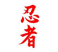Car Stickers Vinyl Decal Ninja in Kanji Japane Motorcycle Decorative Accessories Creative Waterproo(5,20x10 cm)