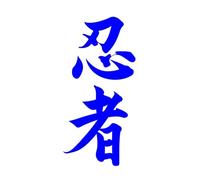Car Stickers Vinyl Decal Ninja in Kanji Japane Motorcycle Decorative Accessories Creative Waterproo(7,25x12 cm)
