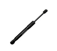 Car Suspension Strut Repair Kit For Tesla For Model Y Front Trunk Gas Pressure Support 2020-present 1505547-00-A Shock Absorber(Black)