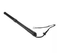 Car Tailgate Supports Electric Compatible With For RX 2015 2016 2017 2018 2019 2020 2021 2022 Left Rear Lift Support Electric Tailgate Electric Car For Spring Tails 6892048031