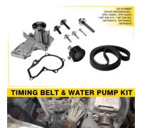 INA 530 0495 30 Water pump and timing belt kit