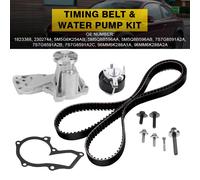 INA 530 0495 30 Water pump and timing belt kit