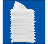 Car Tissue, Auto Visor Tissue Refills for Car Tissue Case, Napkin Holder Refill, Nice Tissue for Sun Visor Box, Car Travel Tissues, Soft and Smooth, 3-Ply, 12 Packets, 360 Sheets