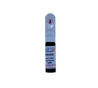 Car Touch Up Paint Pen Compatible with NISSAN NIGHTSHADE GAB GTR QASHQAI JUKE - 20ml Precision Scratch Repair Kit with Needle & Brush - Exact Colour Match (JUST PAINT)
