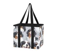 Car Trunk Organizer Reusable Bag for Shopping Pirate Bernese Mountain Dogs on White & Ghosts on Gold Foldable Large Market Tote Bag with Hard Bottom & Handles for Sedans, Van, car, Grocery, 1 Pack