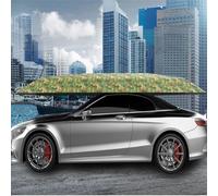 Car Umbrella, Fully Automatic Folding Sun Shade Tent, Portable Auto Protection with Remote Control and Removable Battery, 4.9x2.3m