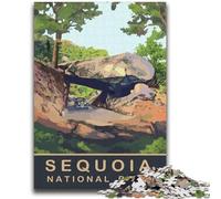 Car Under The Arch Rock Adult Jigsaws 2000 Pieces Difficult, Challenging Difficult Deal As Gifts for The Whole Family 2000pcs(70x100cm)