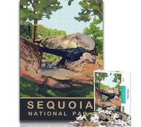 Car Under The Arch Rock Jigsaws Puzzles 1000 Pieces for Adults Gifts,Staycation Kill Time Every Piece Is Unique - Challenging Family Fun Game 38x26cm