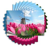 Car Window Stickers A Field of Pink Tulips with A Windmill in The Background. Stickers 10Pcs Garage Signs for Men Funny Car Window Stickers(6X9CM)