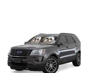 Car Windshield Sun 2-Piece Foldable Front Windshields Shade Suns Visor Protector Shih Tzu Dog Windshield Sun Shades Heat and UV Rays Sunshade for Car Keeps Vehicle Cool M